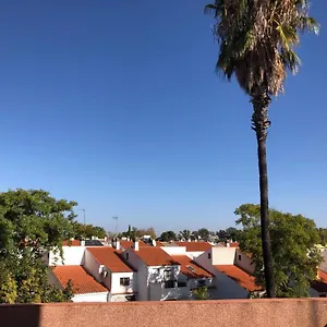 Familia Anfitriona Acoge Terraza Sevilla