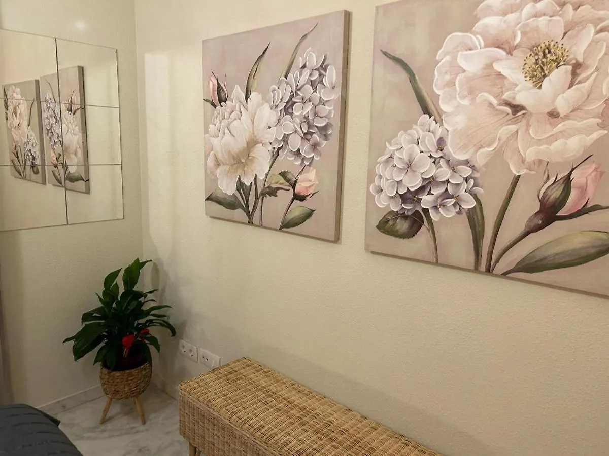 Apartamento Suite Torre Alta Parking Gratis Seville 0*,  Spain